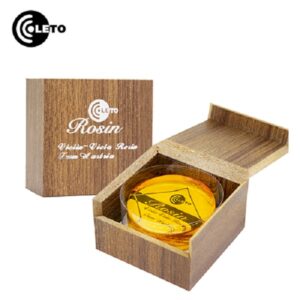 Violin Leto Rosin